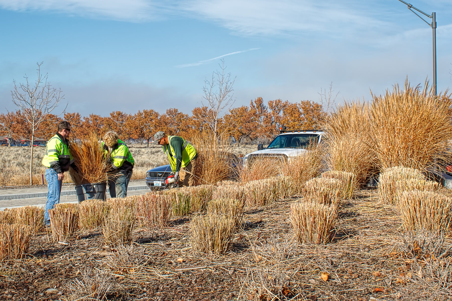Landscape Maintenance Bagley Landscaping