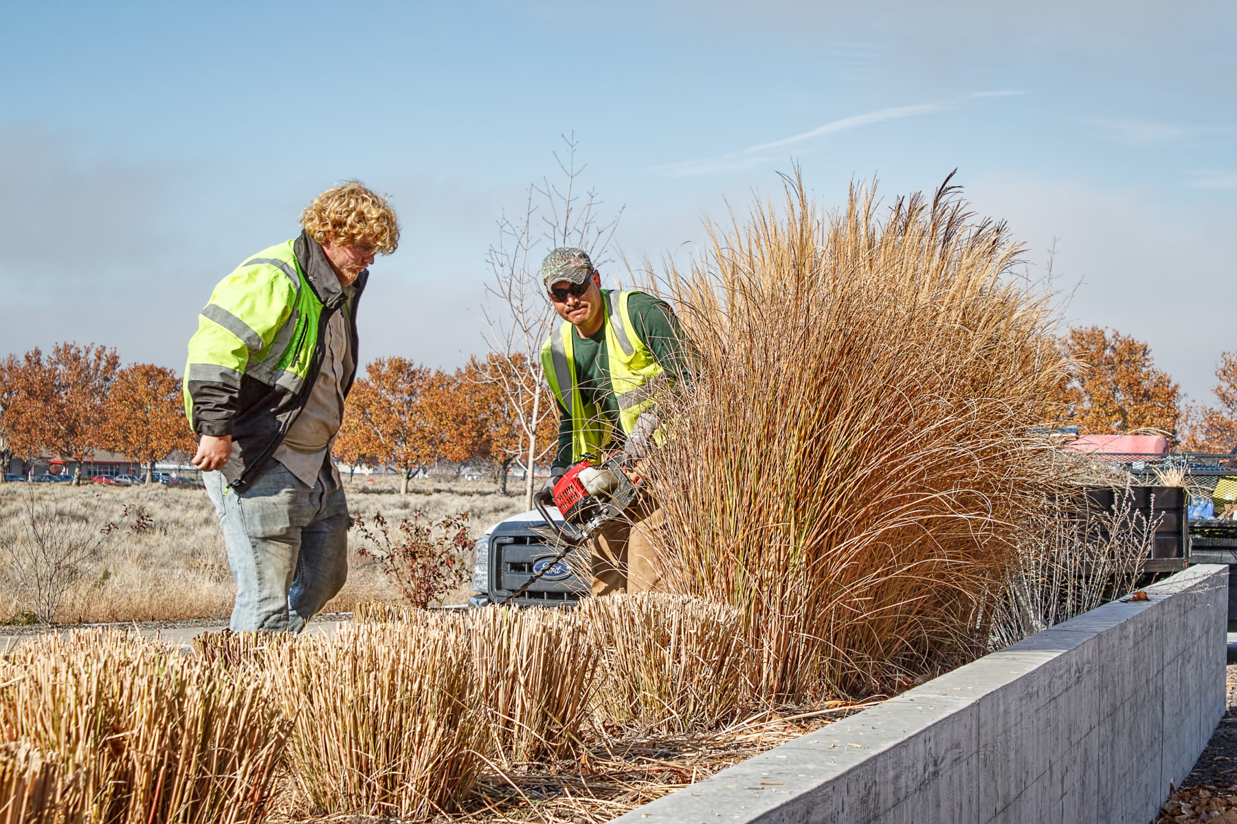Landscape Maintenance Bagley Landscaping